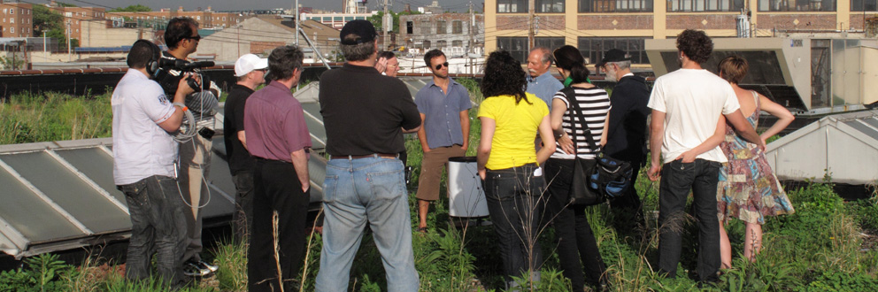 Linda Tool and Die rooftop garden